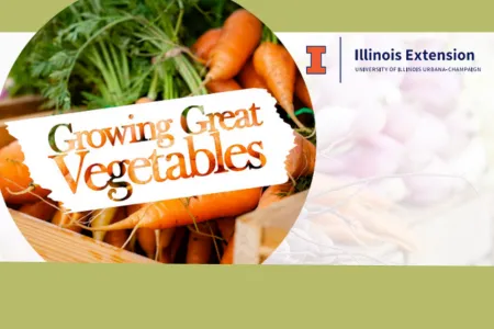 Growing Great Vegetables 