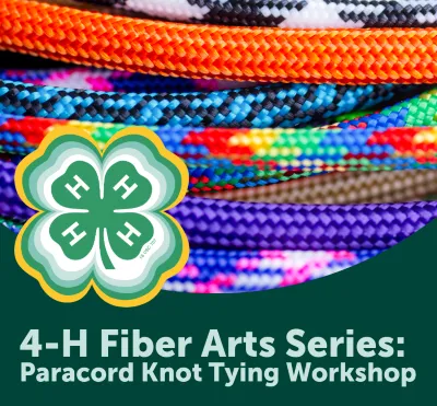 4H Fiber Arts